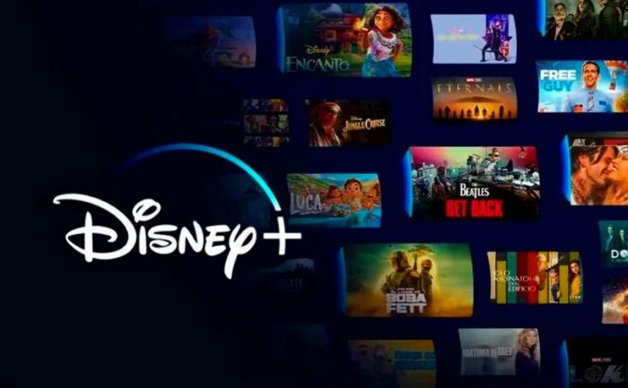 Disney+ Offline Viewing Features-1
